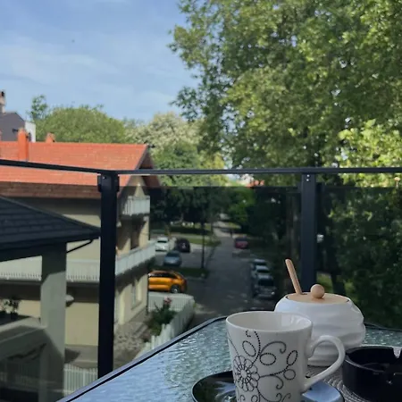 Dzo * Modriča